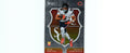 Rome Odunze 2024 Select #10 RC