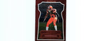 Joe Haden 2016 KNIGHT'S TEMPLAR Panini #68