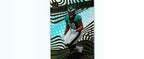 Jalen Carter 2023 Donruss RR-8 RC