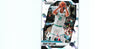 Grant Williams 2024 ICE Prizm #31, Hornets