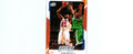 Jason Maxiell 2008 Upper Deck #47, Pistons