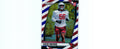 Darius Robinson 2024 RED WHITE&BLUE Prizm #325 RC