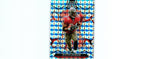 Dexter Jackson 2024 SILVER MOSAIC Mosaic #229