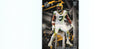 Quay Walker 2022 Chronicles GK-31 RC