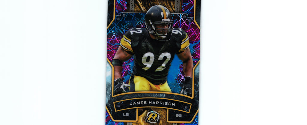 James Harrison 2024 SKY BLUE&PINK Topps #85