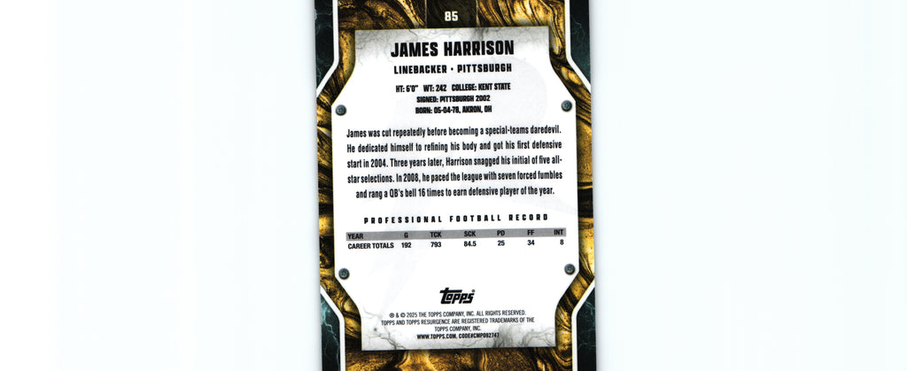 James Harrison 2024 SKY BLUE&PINK Topps #85