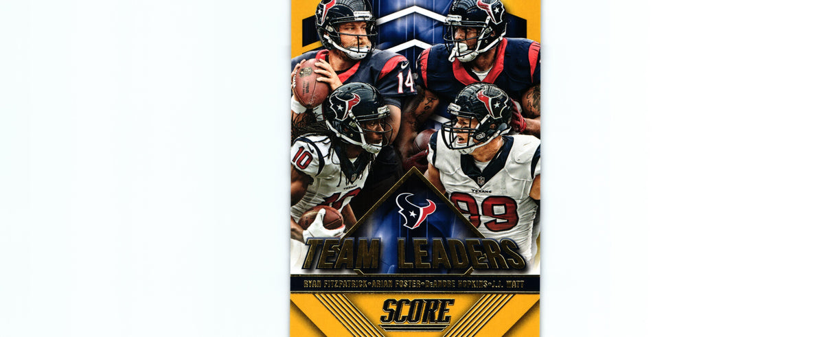 Fitzpatrick/Foster/Hopkins/Watt 2015 Score #18